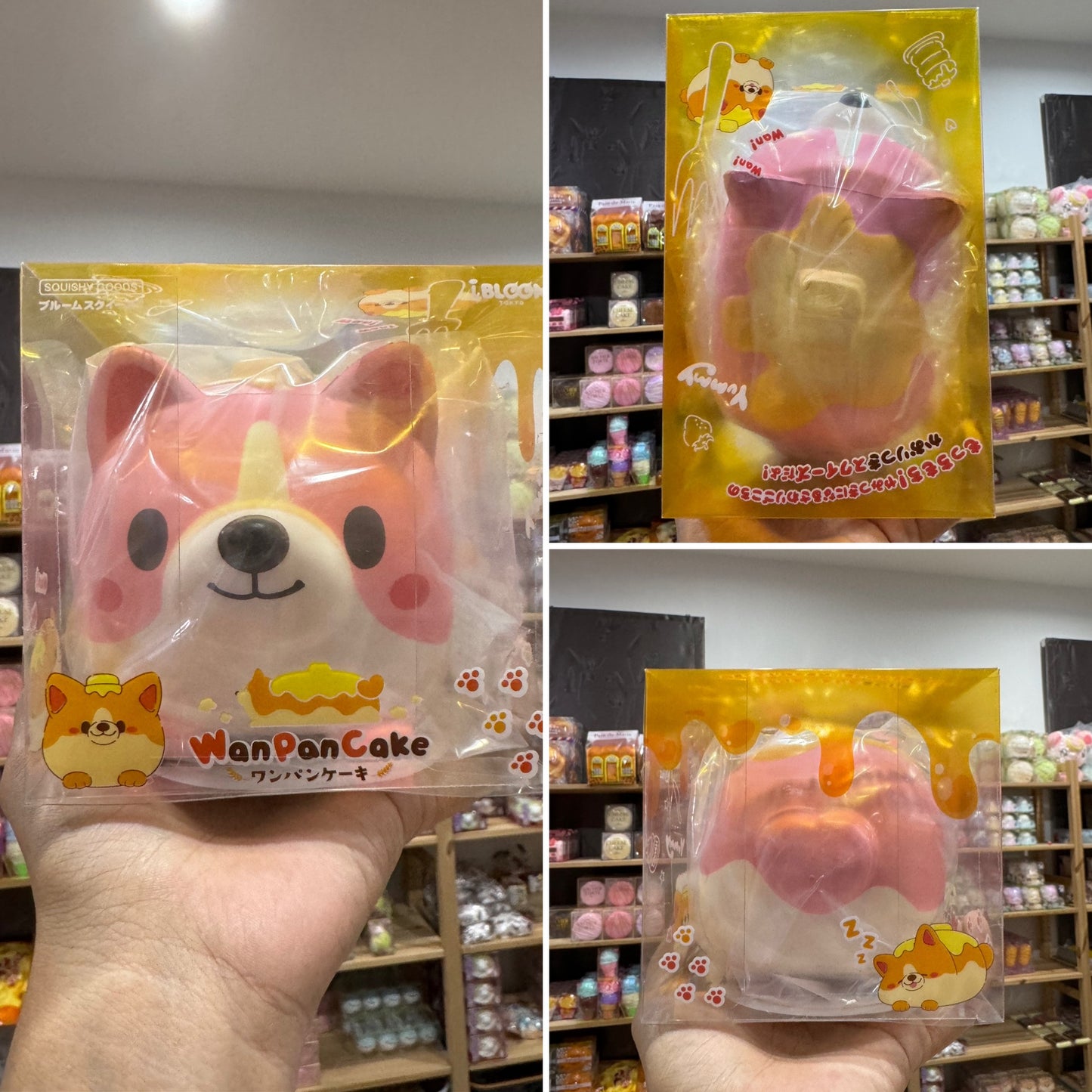 หมาแพนเค้ก