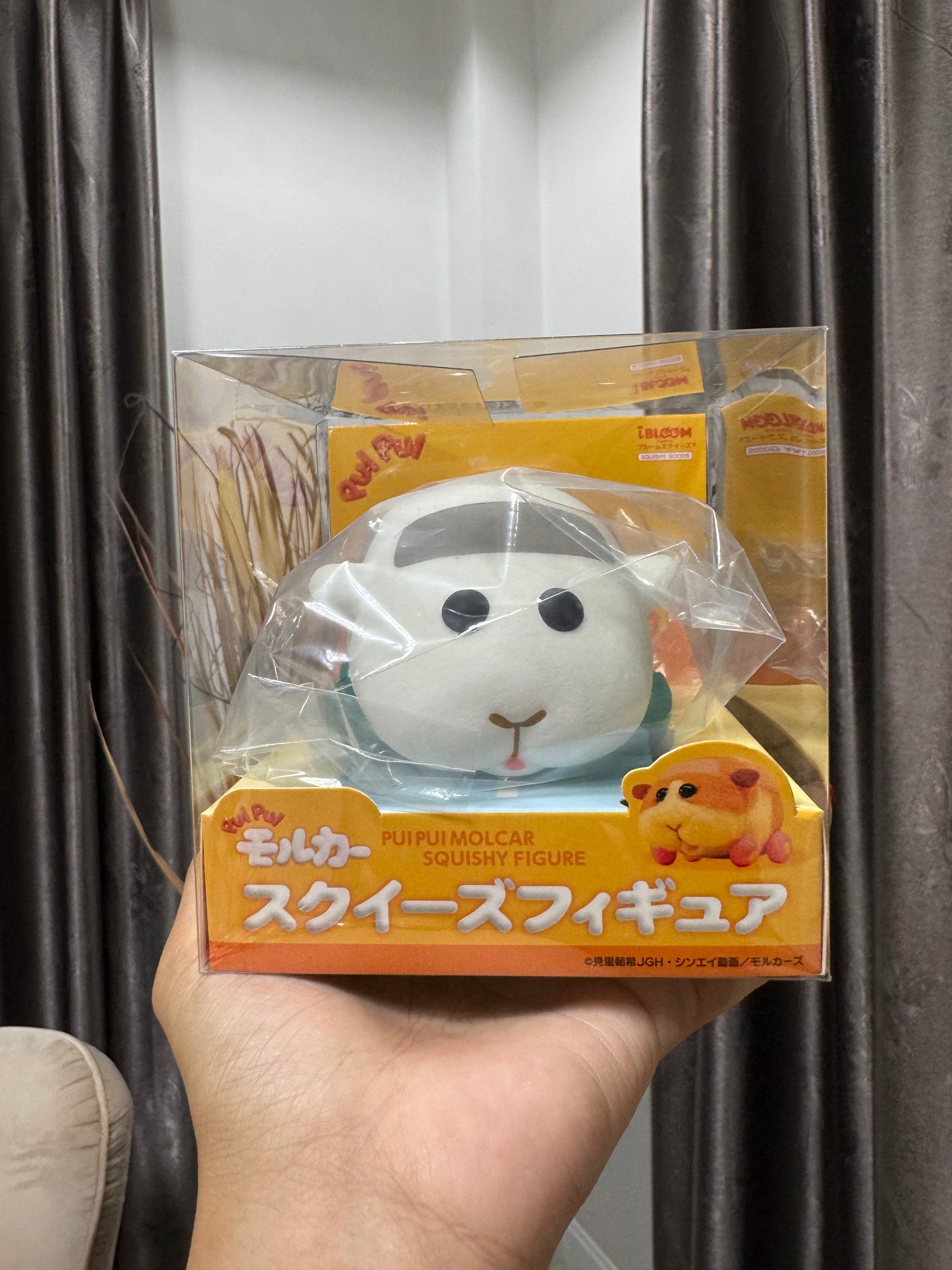 โมรุก้า