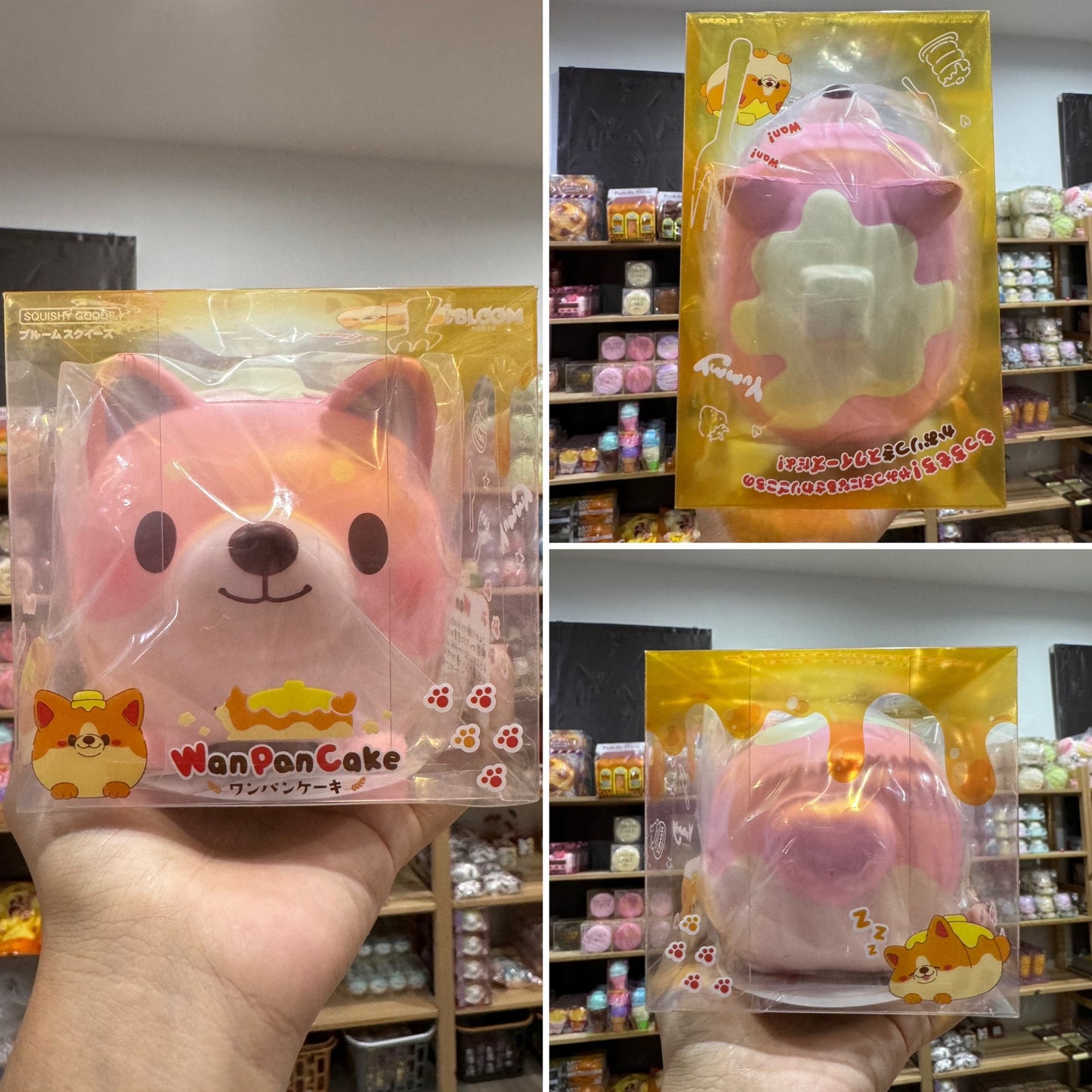 หมาแพนเค้ก