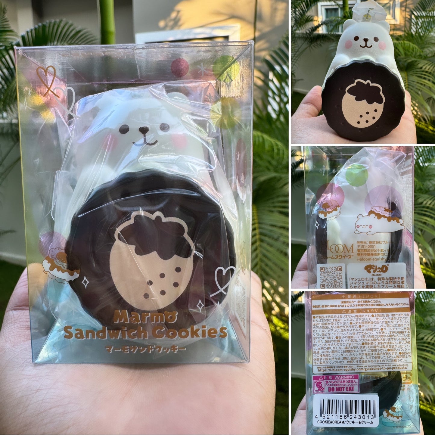 คุกกี้ & ครีม PJASJ X IBLOOM