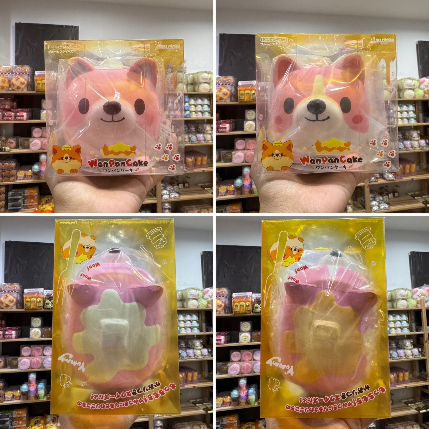 หมาแพนเค้ก