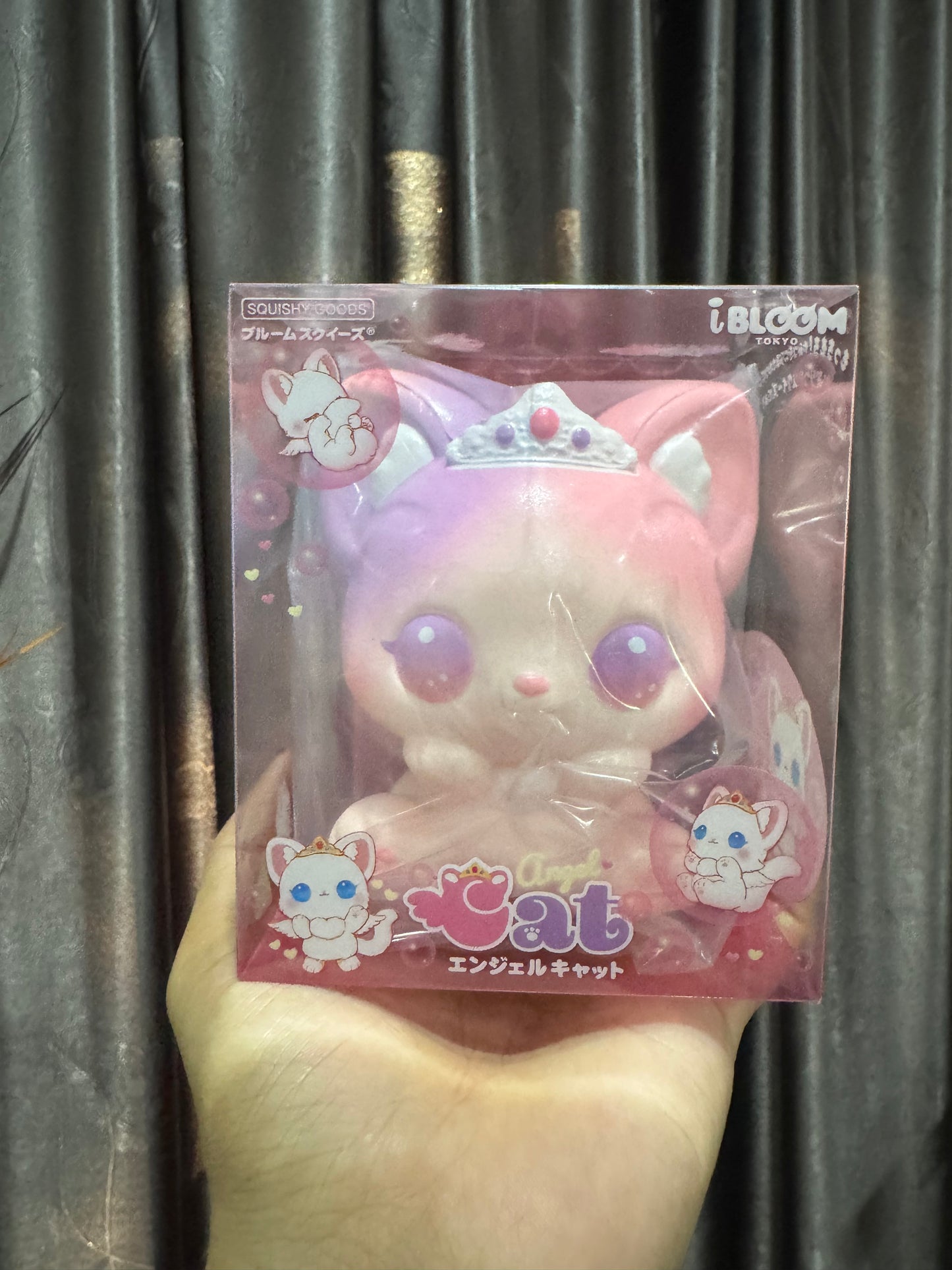 แมวแองเจิล