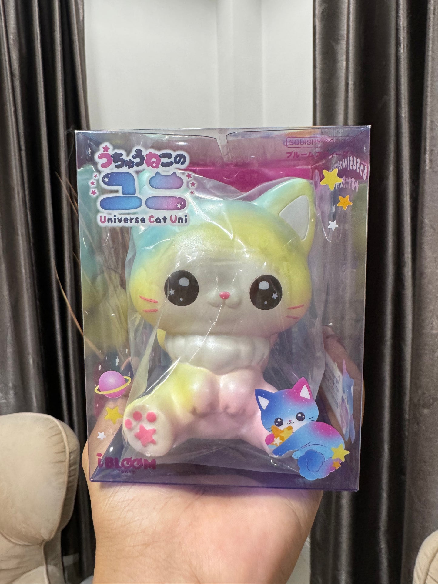 o แมวยูนิ