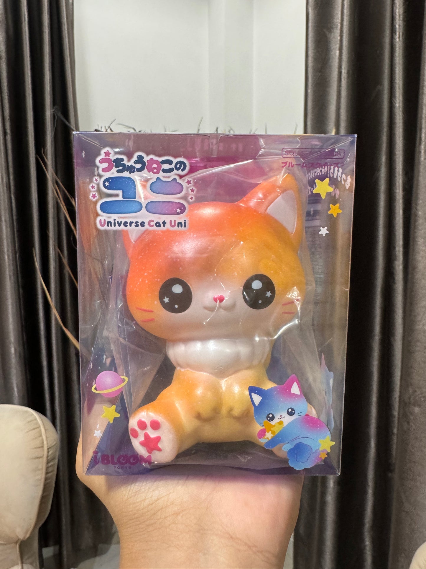 o แมวยูนิ