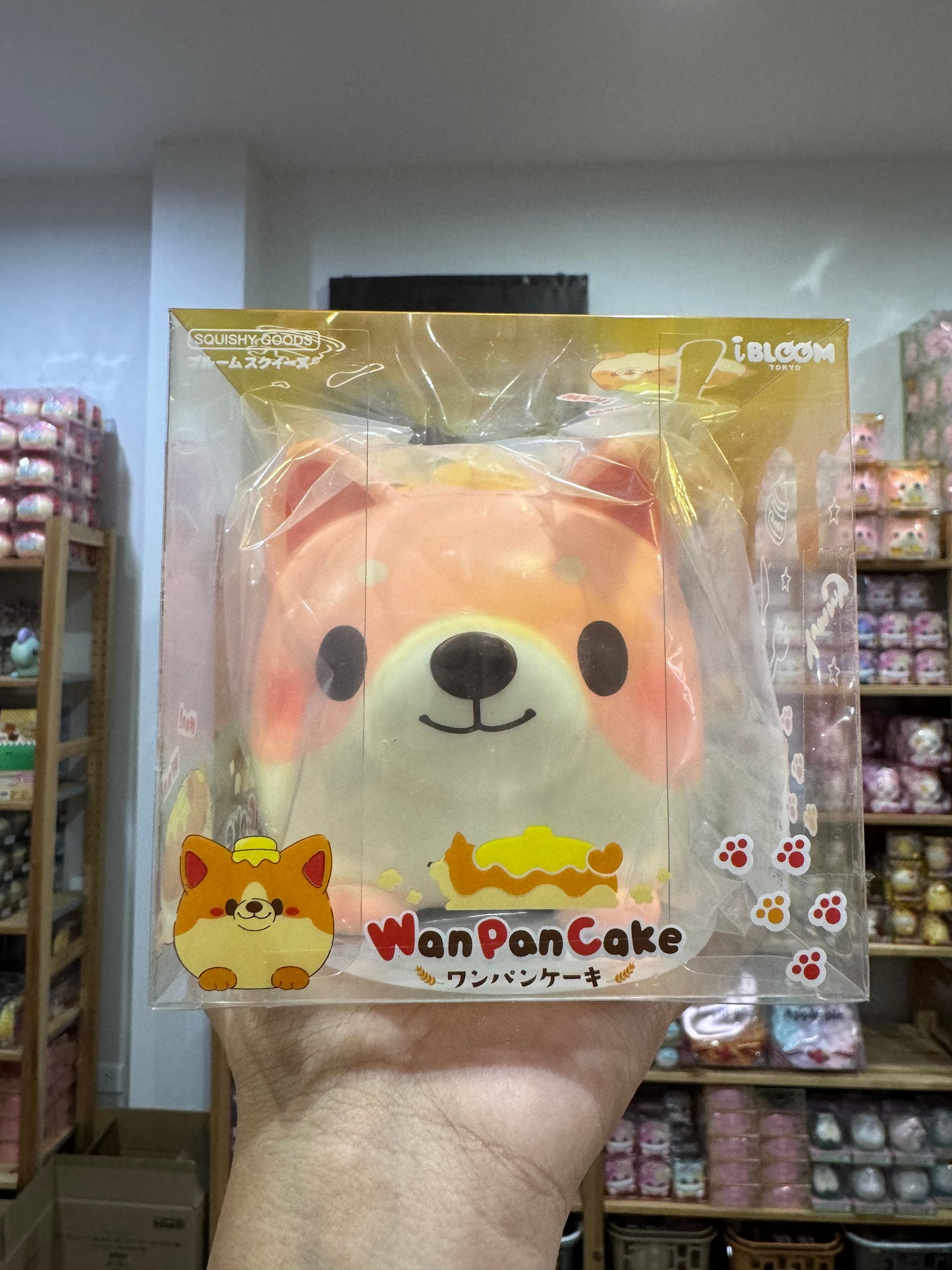 หมาแพนเค้ก