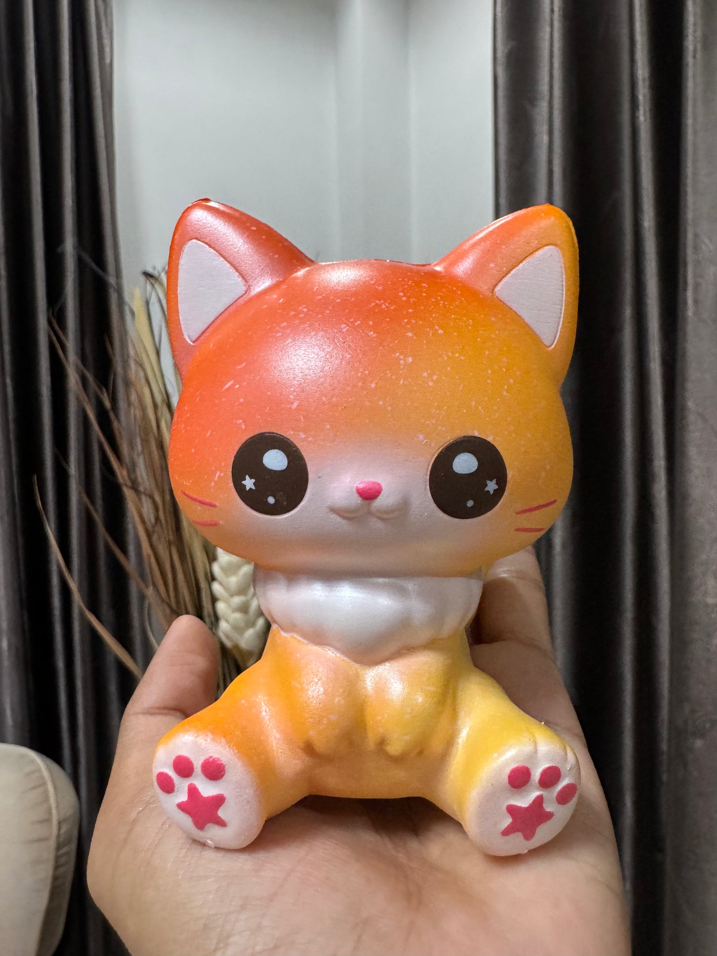 o แมวยูนิ