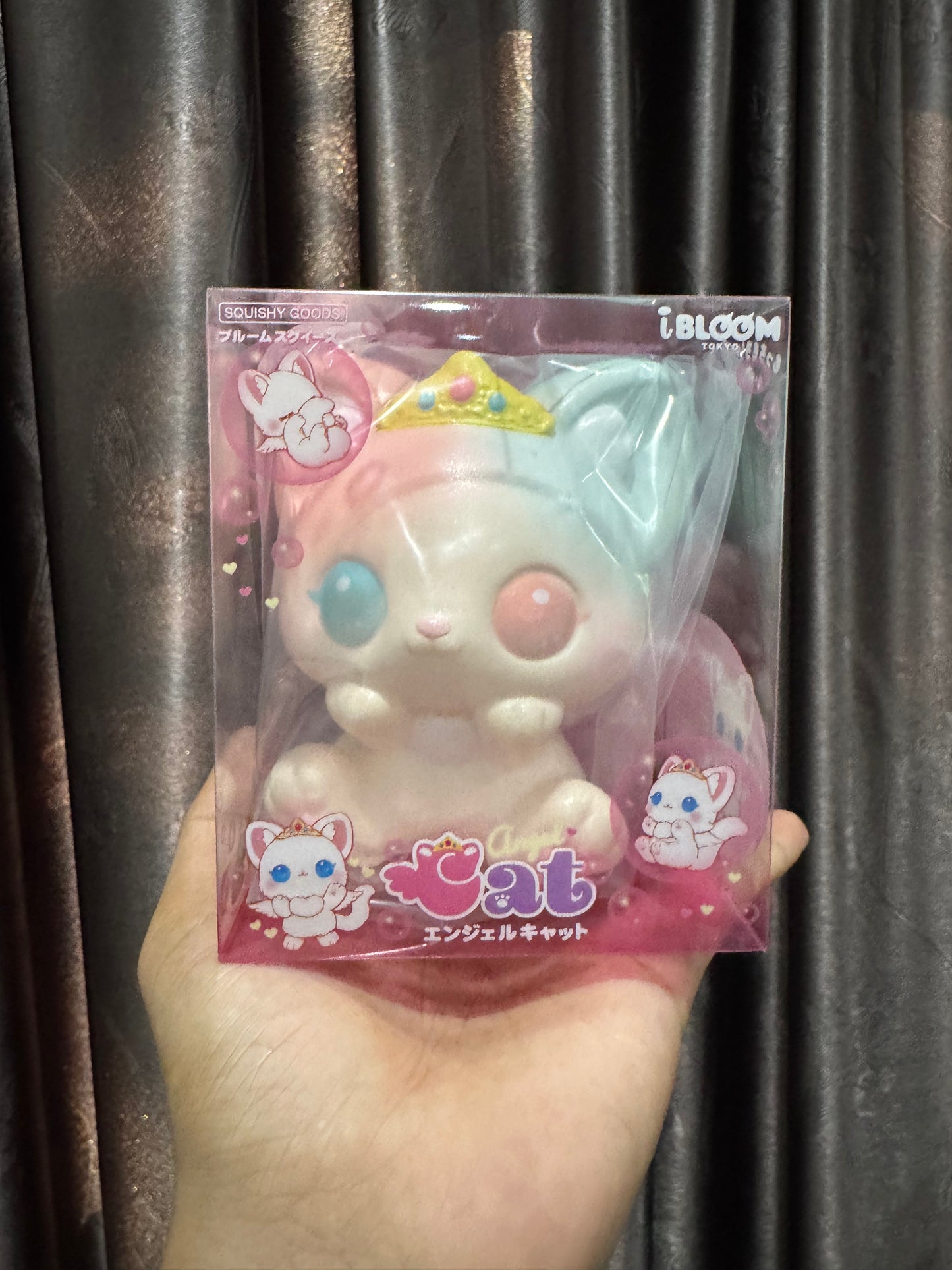 แมวแองเจิล