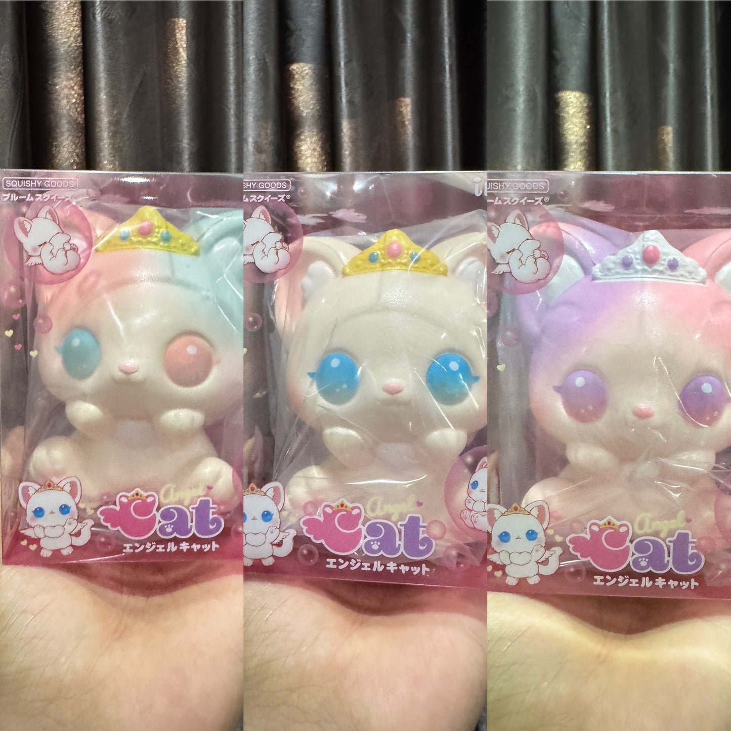 แมวแองเจิล