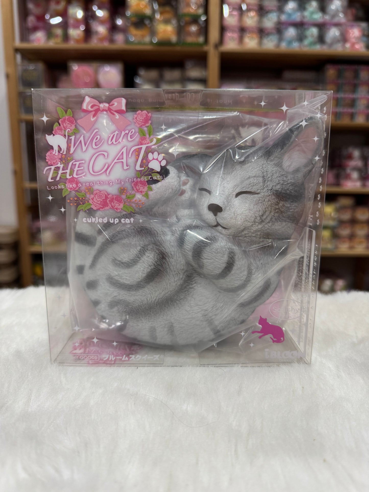 แมวนอนขด