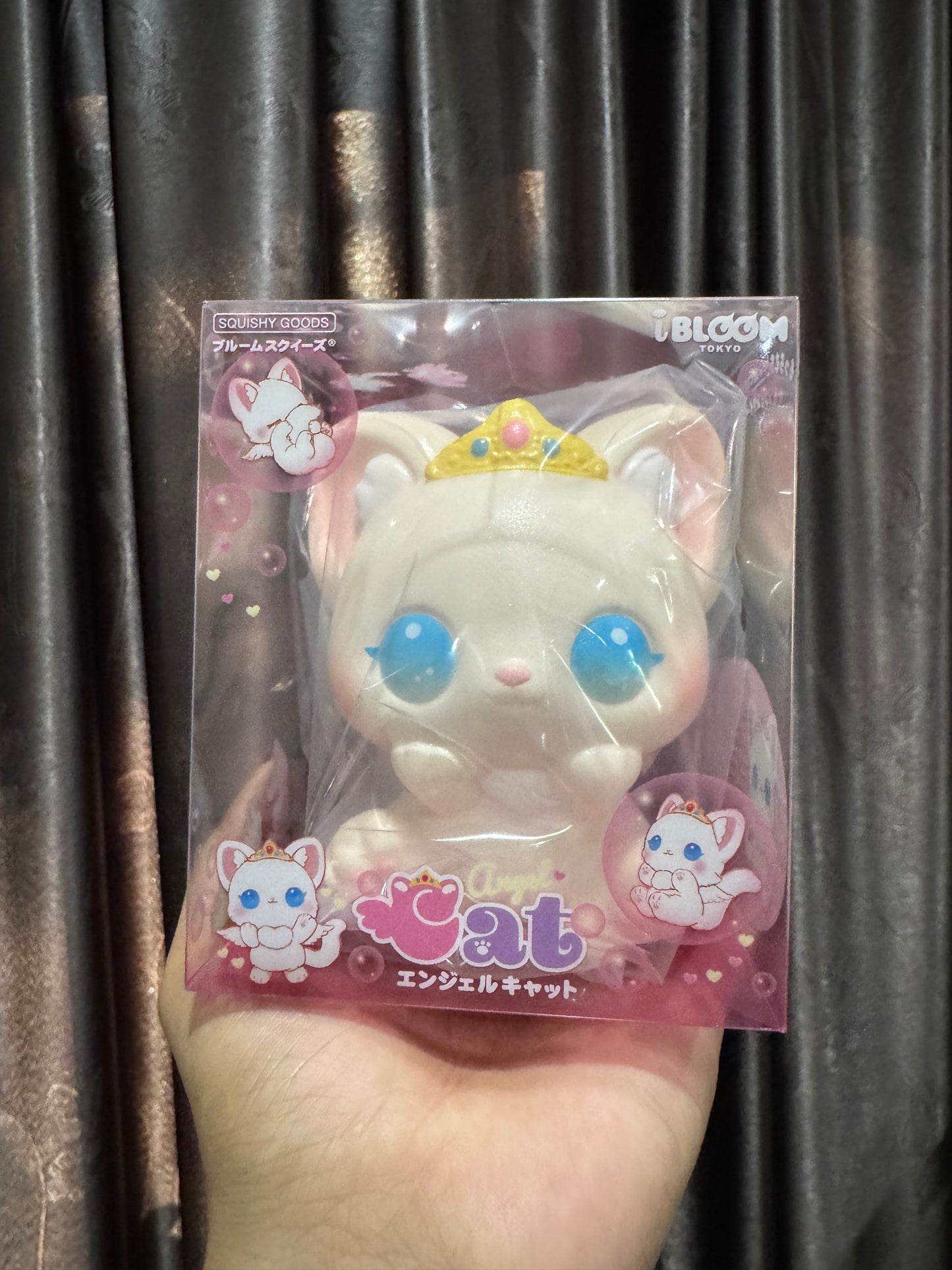 แมวแองเจิล