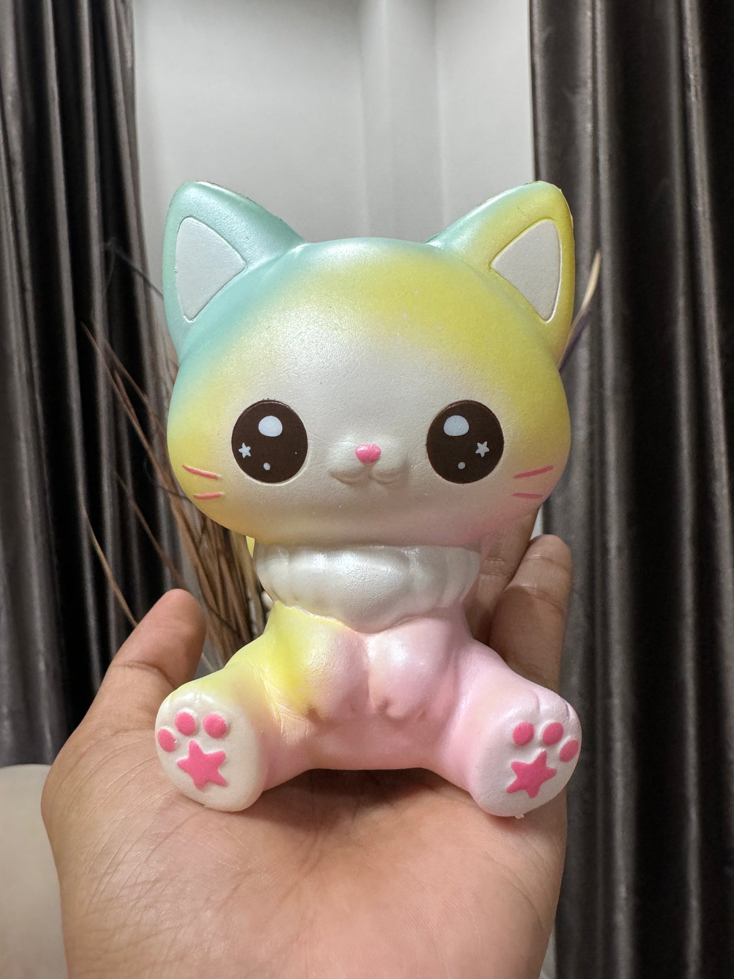 o แมวยูนิ