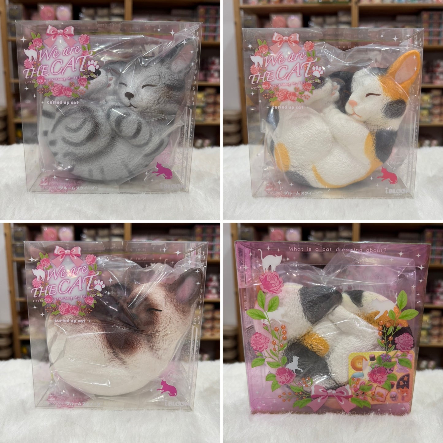 แมวนอนขด