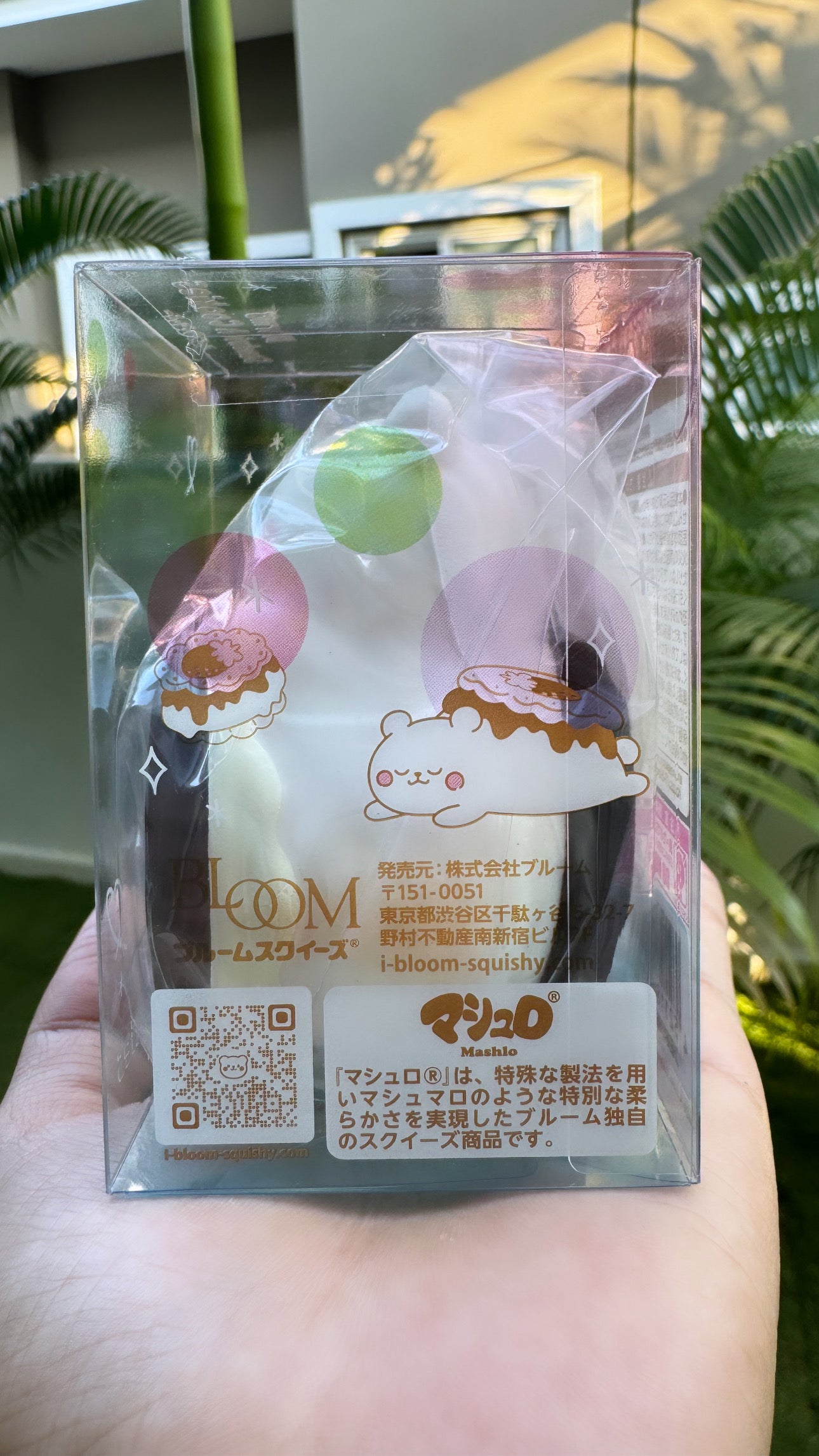 คุกกี้ & ครีม PJASJ X IBLOOM