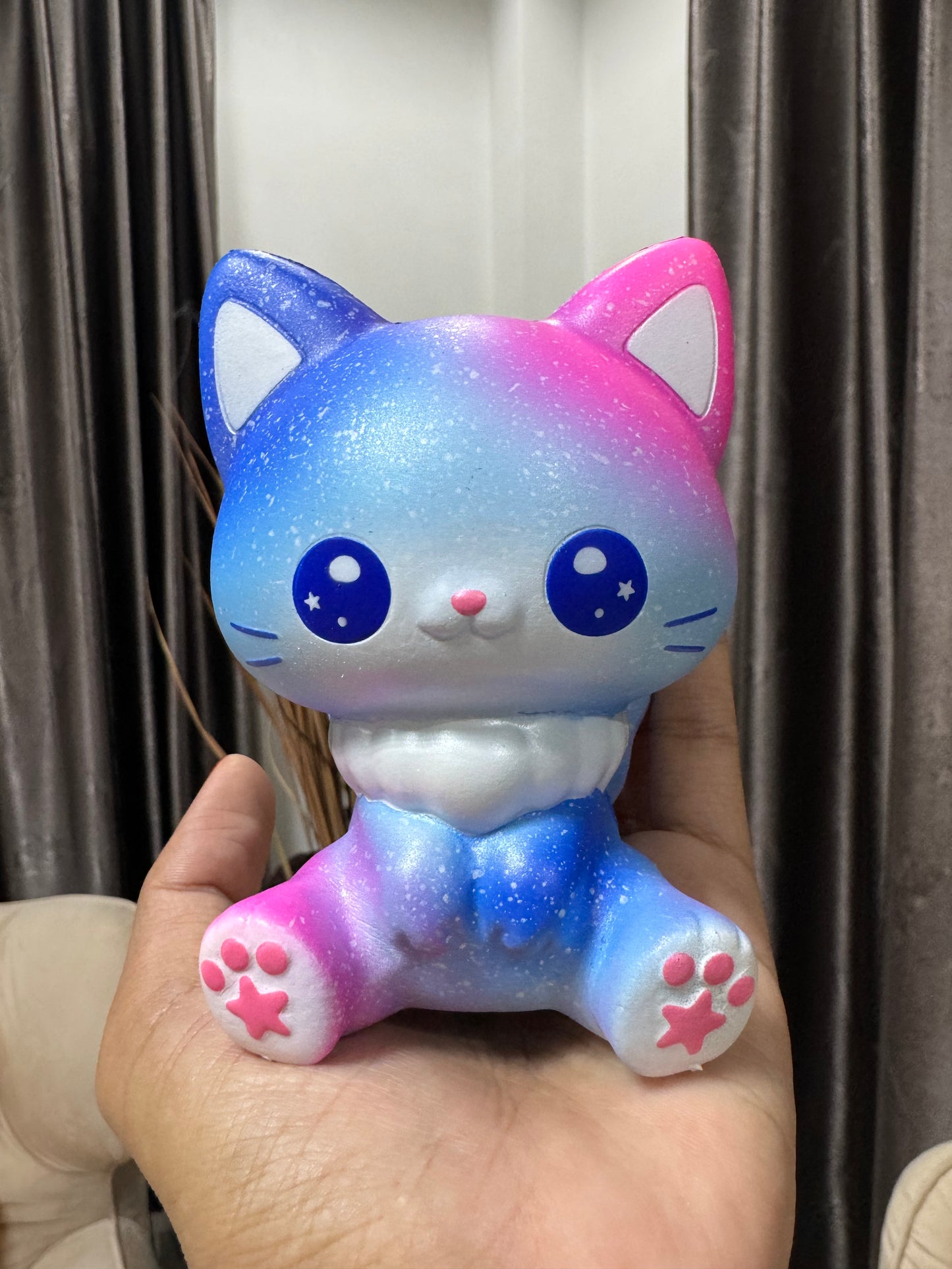 o แมวยูนิ