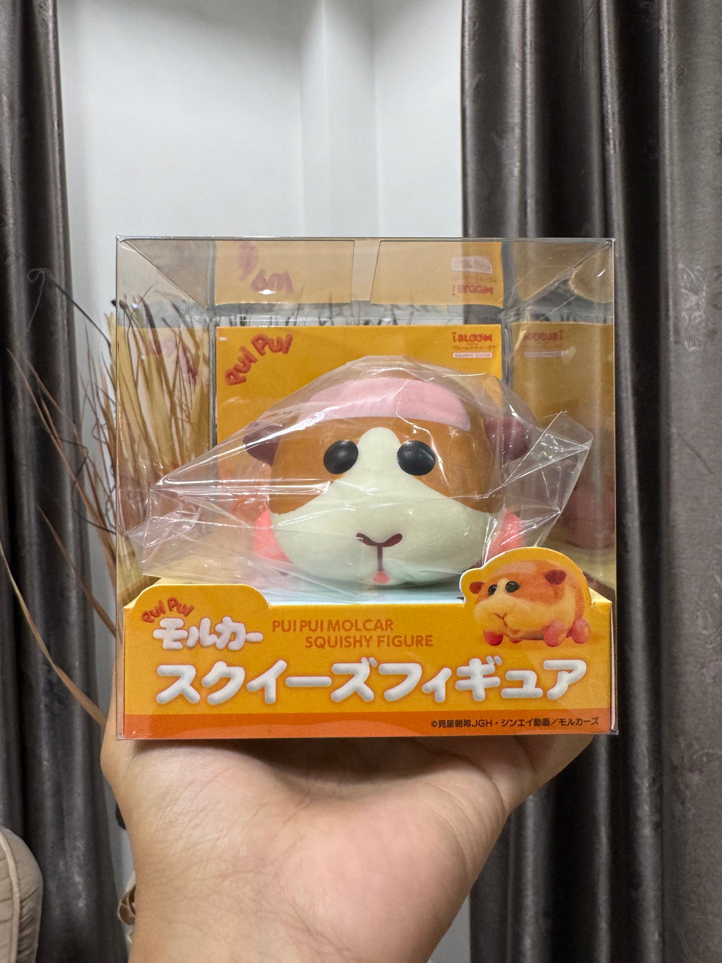 โมรุก้า