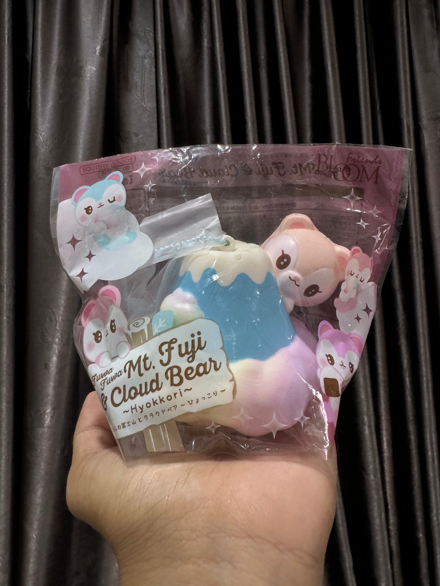 หมีเมฆรุ้ง